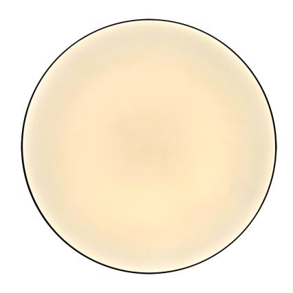 Plafón LED de baño MOON LED/18W/230V cromo brillante IP44