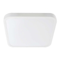 Plafón LED de baño SAMSUNG CHIP LED/24W/230V IP44 4000K 29x29 cm blanco