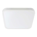Plafón LED de baño SAMSUNG CHIP LED/24W/230V IP44 6500K 29x29 cm blanco