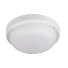 Plafón LED de baño TOLU LED/9W/230V 4000K IP54 blanco