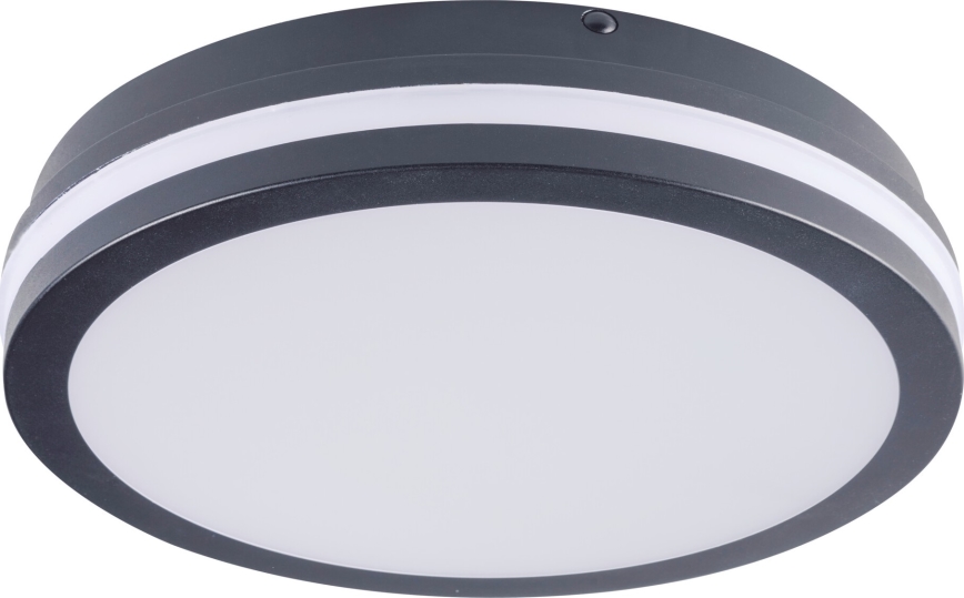 Plafón LED de exterior BENO LED/24/30W/230V 3000/3500/4000K IP65 antracita redondeado