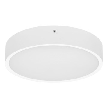 Plafón LED de exterior con sensor MARTIN LED/25W/230V 3000/4000K diá. 35 cm IP65 blanco