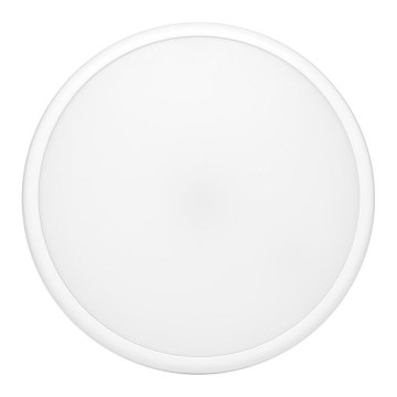 Plafón LED de exterior MOVA LED/16W/230V IP65