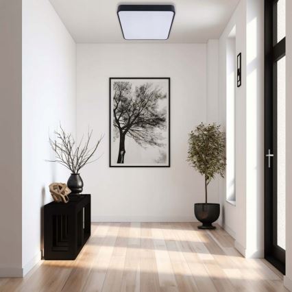 Plafón LED FELIZ LED/50W/230V 4000K 40x60 cm negro