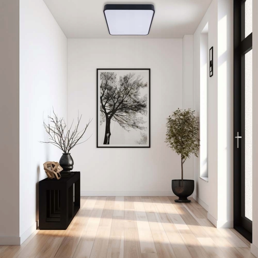 Plafón LED FELIZ LED/50W/230V 4000K 40x60 cm negro