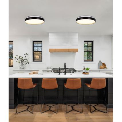 Plafón LED FLORIDA LED/18W/230V negro