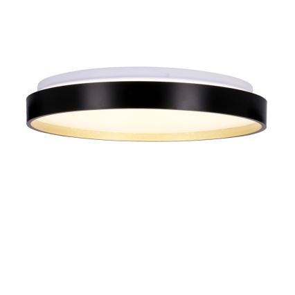 Plafón LED FLORIDA LED/18W/230V negro