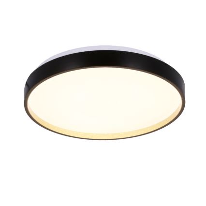 Plafón LED FLORIDA LED/18W/230V negro