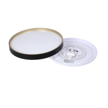 Plafón LED FLORIDA LED/18W/230V negro
