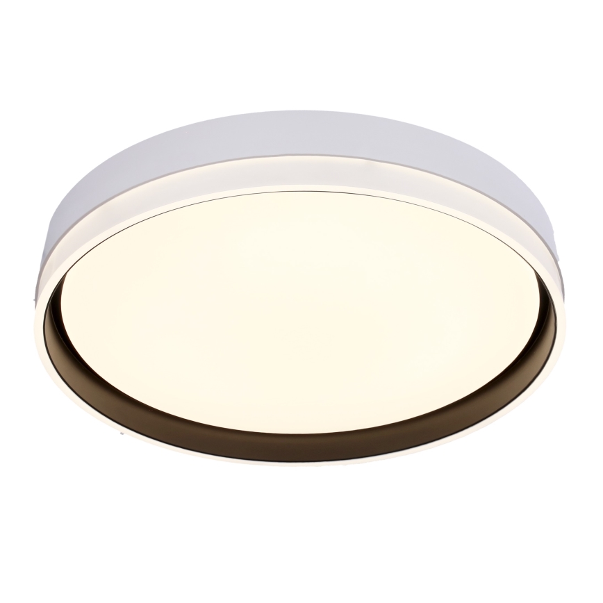 Plafón LED FLORIDA LED/24W/230V blanco