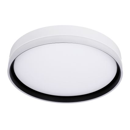 Plafón LED FLORIDA LED/24W/230V blanco