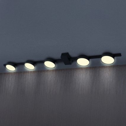 Plafón LED JOY 5xGX53/6W/230V negro