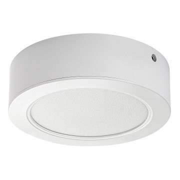 Plafón LED LED/12W/230V diá. 14,5 cm