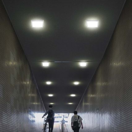 Plafón LED LED/18W/230V 4000K 21,4x,21,4 cm blanco