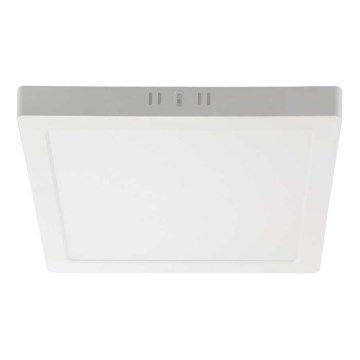 Plafón LED LED/18W/230V 6500K 21,4x21,4 cm blanco