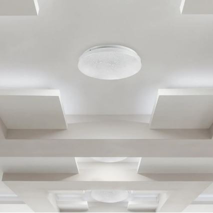 Plafón LED LED/18W/230V diámetro 31 cm 3000/4000/6400K