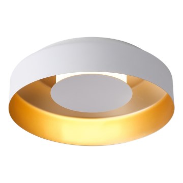 Plafón LED LED/20W/230V 3000K blanco