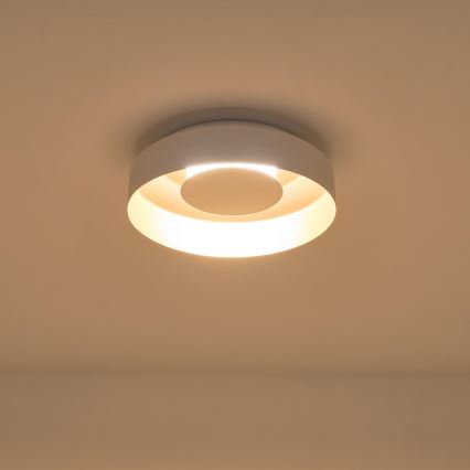 Plafón LED LED/20W/230V 3000K blanco