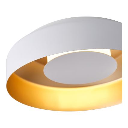 Plafón LED LED/20W/230V 3000K blanco