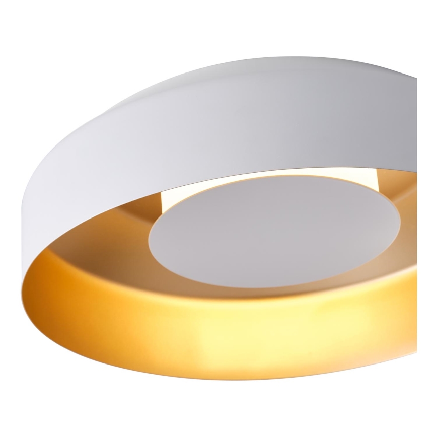 Plafón LED LED/20W/230V 3000K blanco