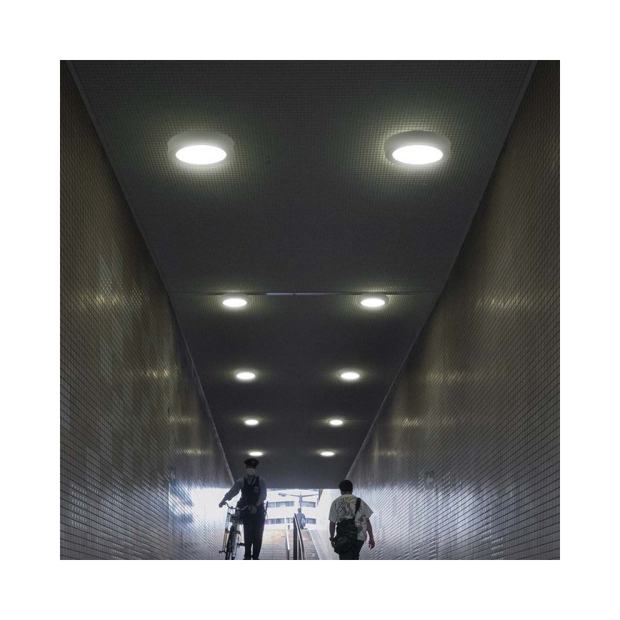 Plafón LED LED/6W/230V 6500K blanco