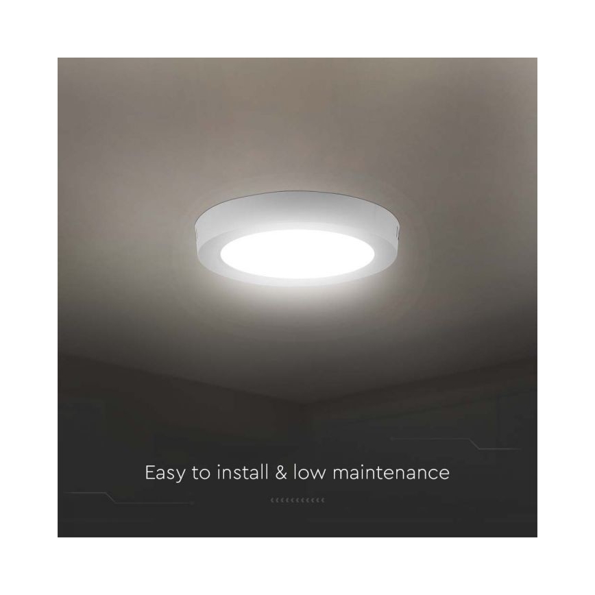 Plafón LED LED/6W/230V 6500K blanco