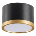 Plafón LED MIRELLA 1xGX53/6W/230V negro/dorado