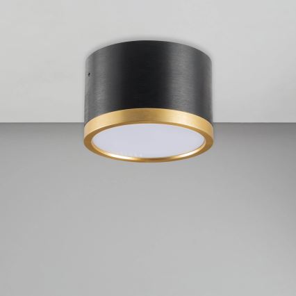 Plafón LED MIRELLA 1xGX53/6W/230V negro/dorado