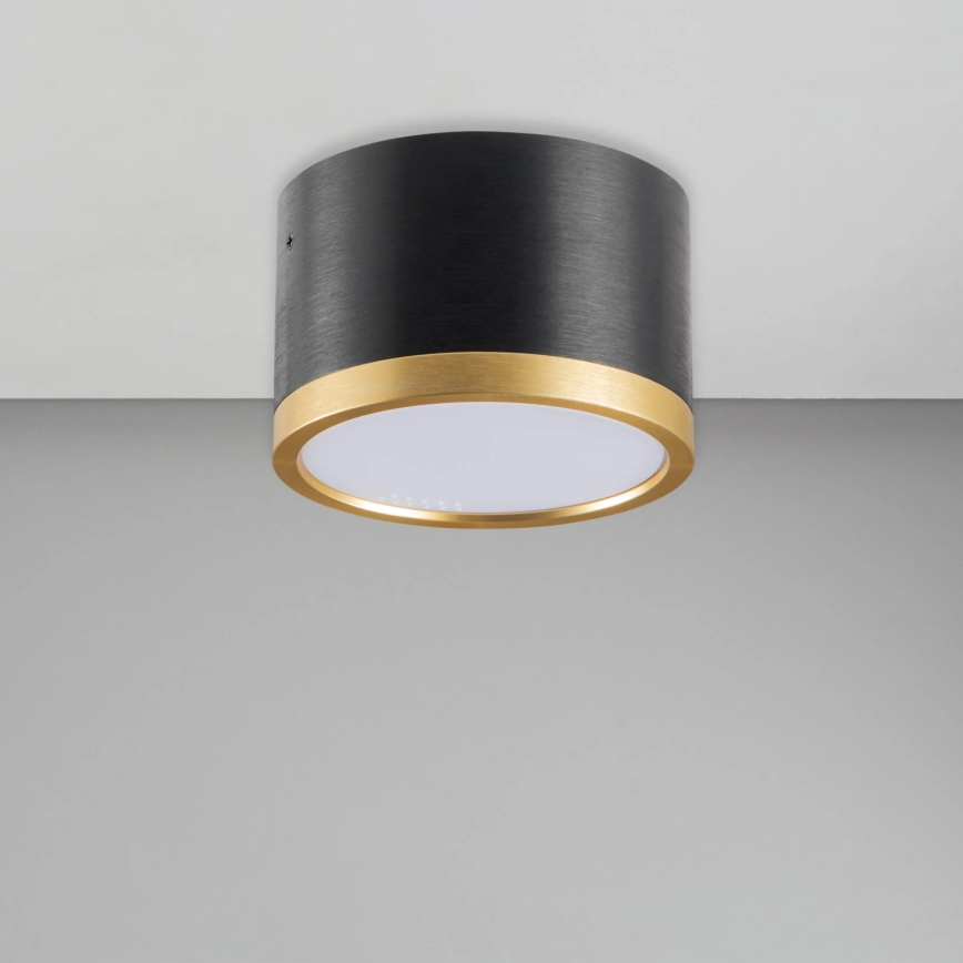 Plafón LED MIRELLA 1xGX53/6W/230V negro/dorado