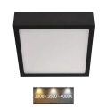 Plafón LED NEXXO LED/12,5W/230V 3000/3500/4000K 17x17 cm negro
