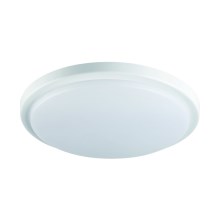 Plafón LED para baños ORTE LED/18W/230V IP54