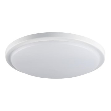 Plafón LED para baños ORTE LED/24W/230V IP54