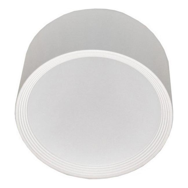 Plafón LED PERCI LED/20W/230V IP40 4000K blanco