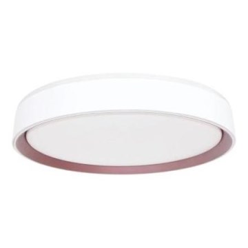 Plafón LED regulable con control por voz OPAL LED/48W/230V 2700-6500K blanco + control remoto