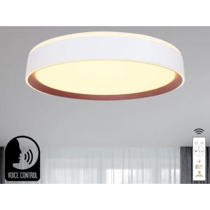 Plafón LED regulable con control por voz OPAL LED/48W/230V 2700-6500K blanco + control remoto