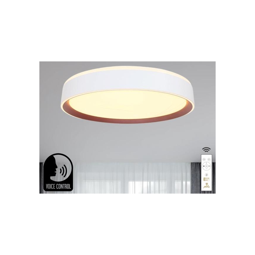 Plafón LED regulable con control por voz OPAL LED/48W/230V 2700-6500K blanco + control remoto