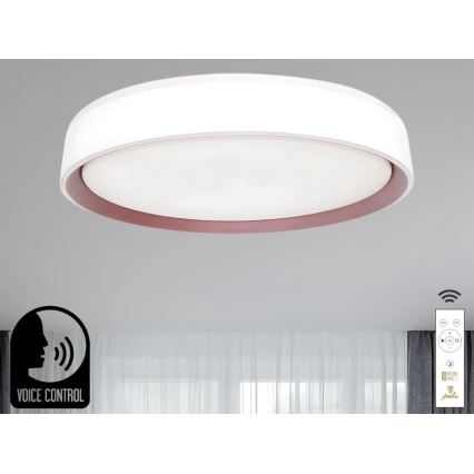 Plafón LED regulable con control por voz OPAL LED/48W/230V 2700-6500K blanco + control remoto