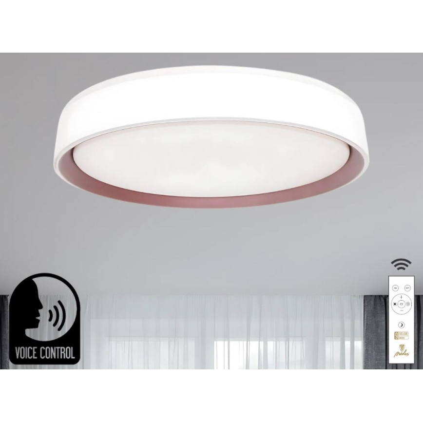 Plafón LED regulable con control por voz OPAL LED/48W/230V 2700-6500K blanco + control remoto