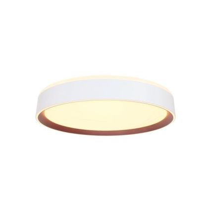 Plafón LED regulable con control por voz OPAL LED/48W/230V 2700-6500K blanco + control remoto