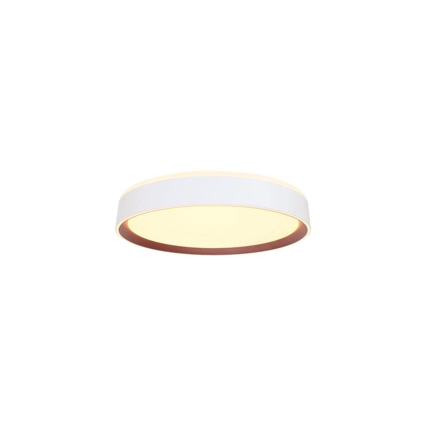 Plafón LED regulable con control por voz OPAL LED/48W/230V 2700-6500K blanco + control remoto