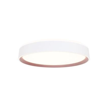 Plafón LED regulable con control por voz OPAL LED/48W/230V 2700-6500K blanco + control remoto