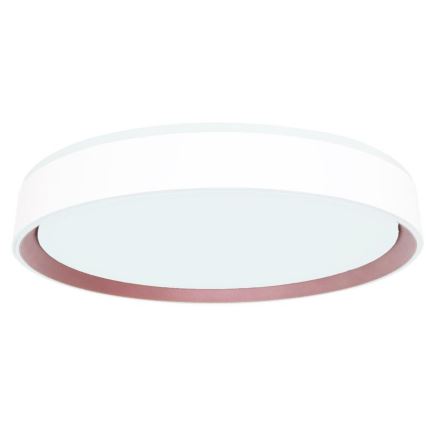 Plafón LED regulable con control por voz OPAL LED/48W/230V 2700-6500K blanco + control remoto