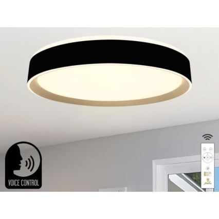 Plafón LED regulable con control por voz OPAL LED/48W/230V 2700-6500K negro + control remoto