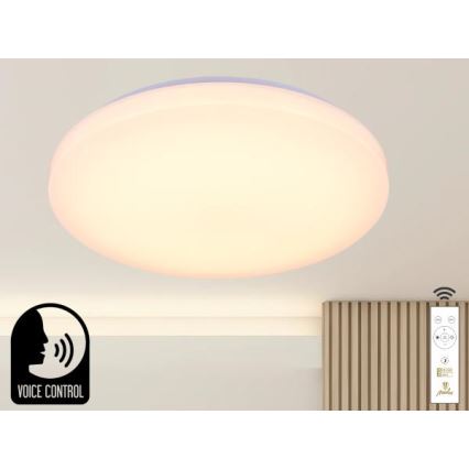 Plafón LED regulable con control por voz OPAL LED/48W/230V 2700-6500K blanco + control remoto