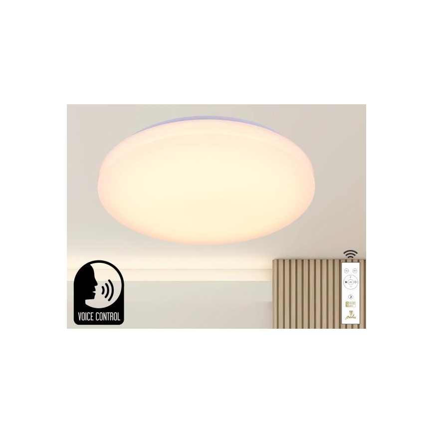Plafón LED regulable con control por voz OPAL LED/48W/230V 2700-6500K blanco + control remoto