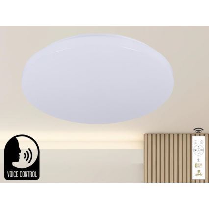 Plafón LED regulable con control por voz OPAL LED/48W/230V 2700-6500K blanco + control remoto