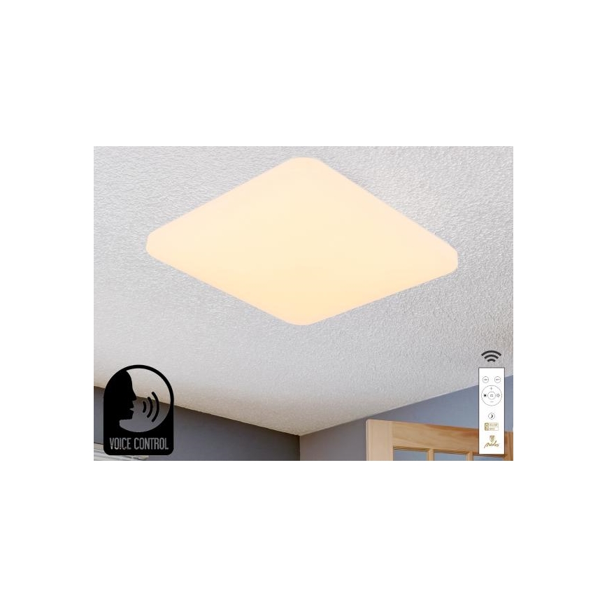 Plafón LED regulable con control por voz OPAL LED/48W/230V 2700-6500K blanco + control remoto