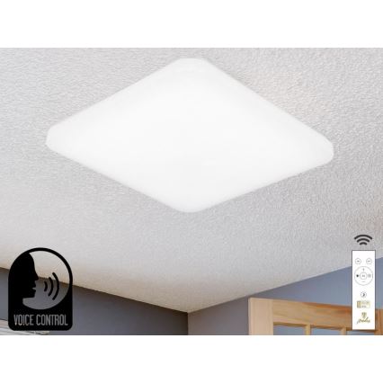 Plafón LED regulable con control por voz OPAL LED/48W/230V 2700-6500K blanco + control remoto