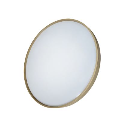 Plafón LED regulable DRINA LED/36W/230V 2700-6500K diá. 50 cm + control remoto