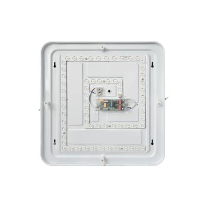 Plafón LED regulable FLORA LED/36W/230V 2700-6500K 43x43 cm + control remoto